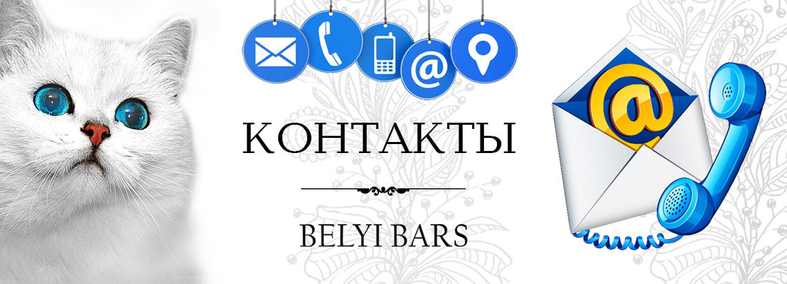 Контакты магазина бижутерии и сувениров Белый Барс